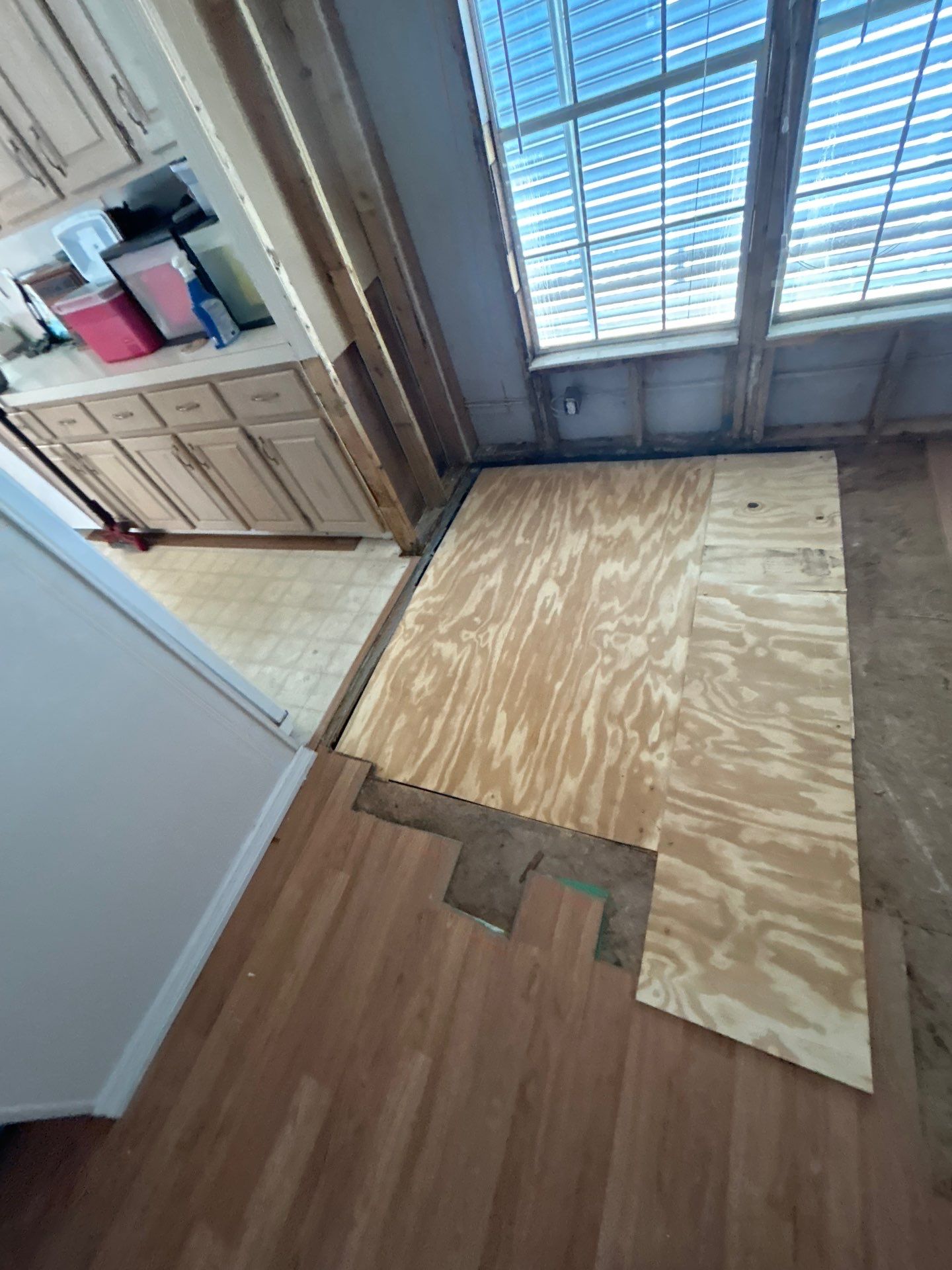 Mold Remediation Palmetto by Ampm Restoration Services 
