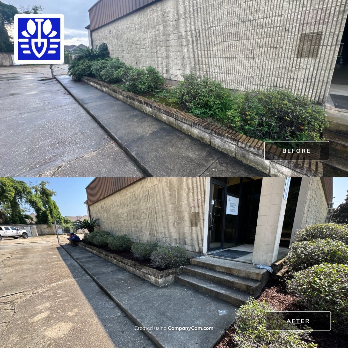 COMMERCIAL LAWN MAINTENANCE: ONE TIME CUT & LANDSCAPE CLEAN UP by CutScape, LLC.