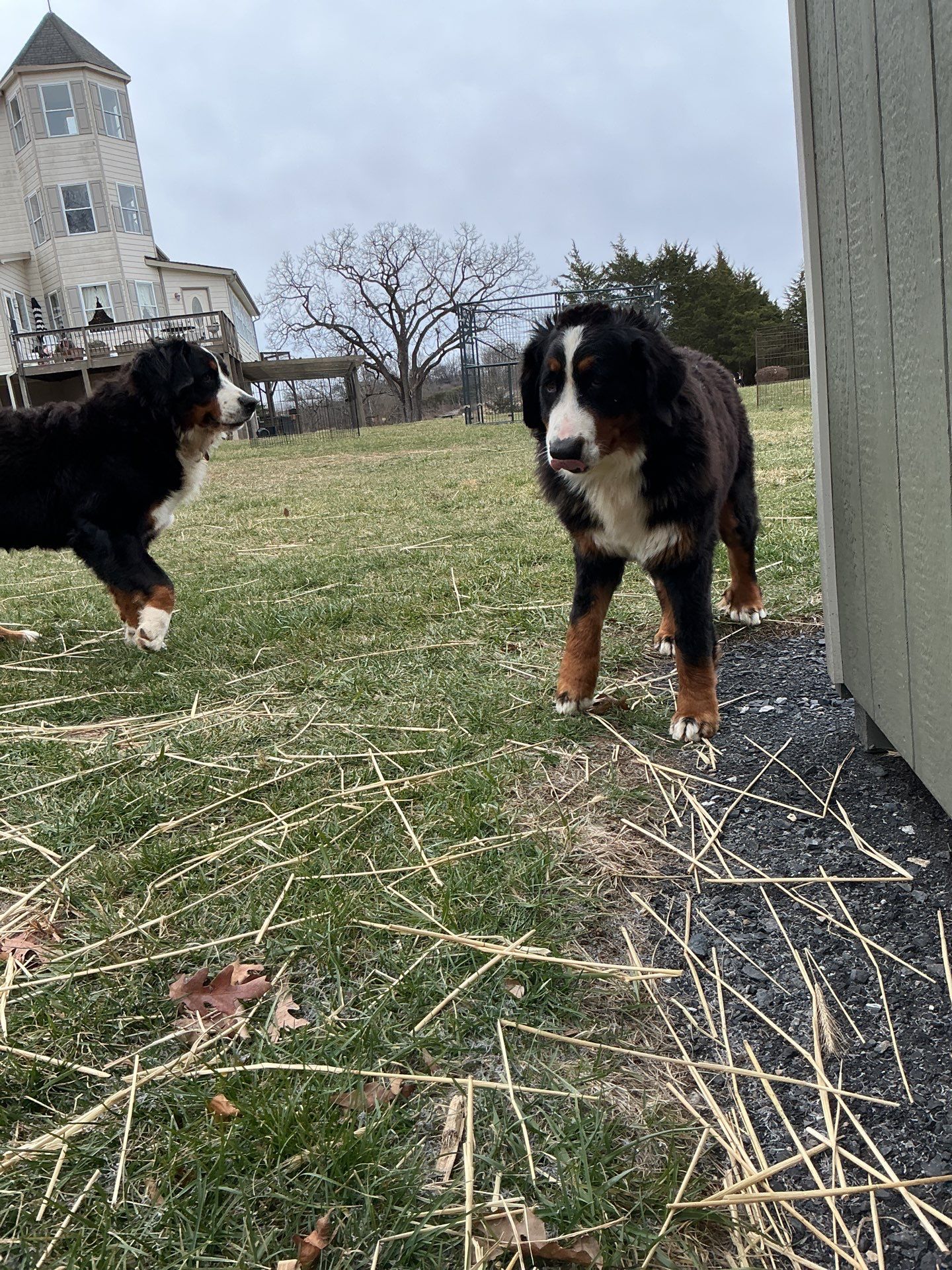 Mitsubishi Install in Middletown by Elemental Heating and air conditioning LLC