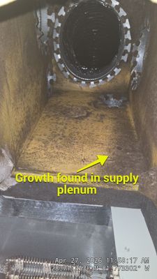 Air Duct Dryer Vent Cleaning Dryer Vent Repair Encapsulation