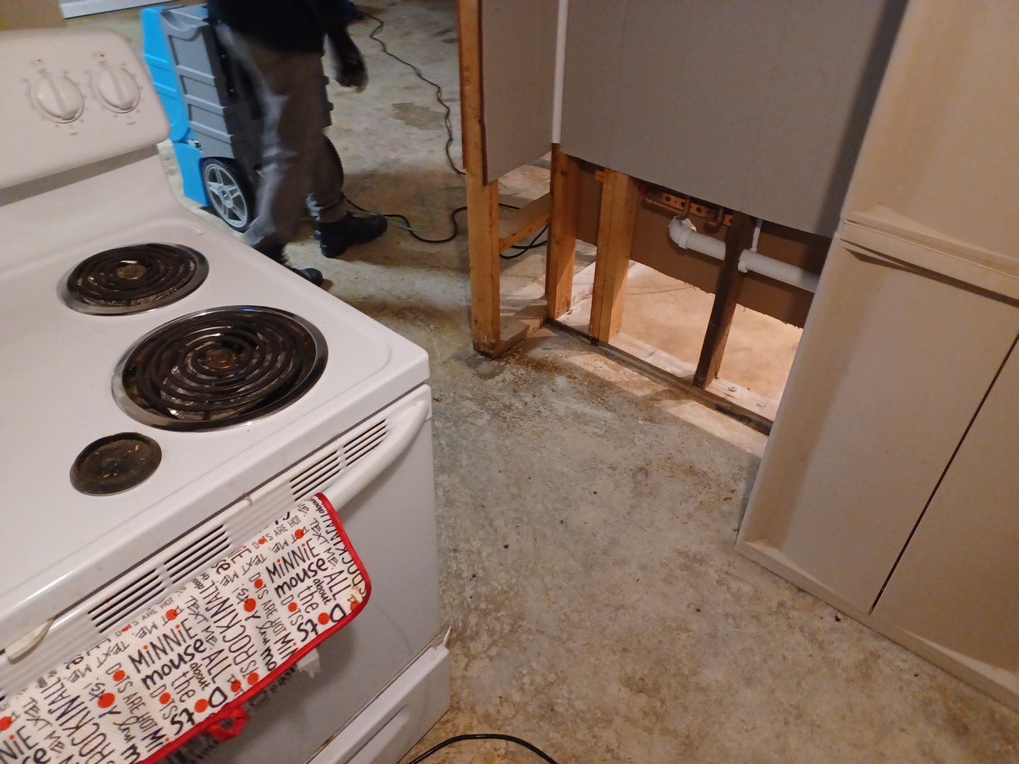 Project in Westland by EzDry Water Mitigation & Property Restoration