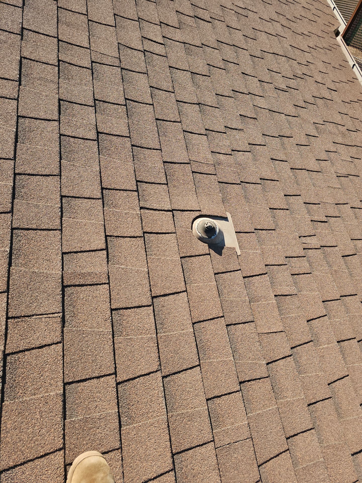 Reroof - Hinton Ave, Delhi by Econo Roofing