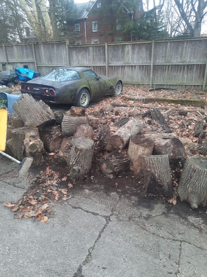 Firewood Delivery  using Seasoned Firewood by Mike Jones & Sons Tree Service LLC 