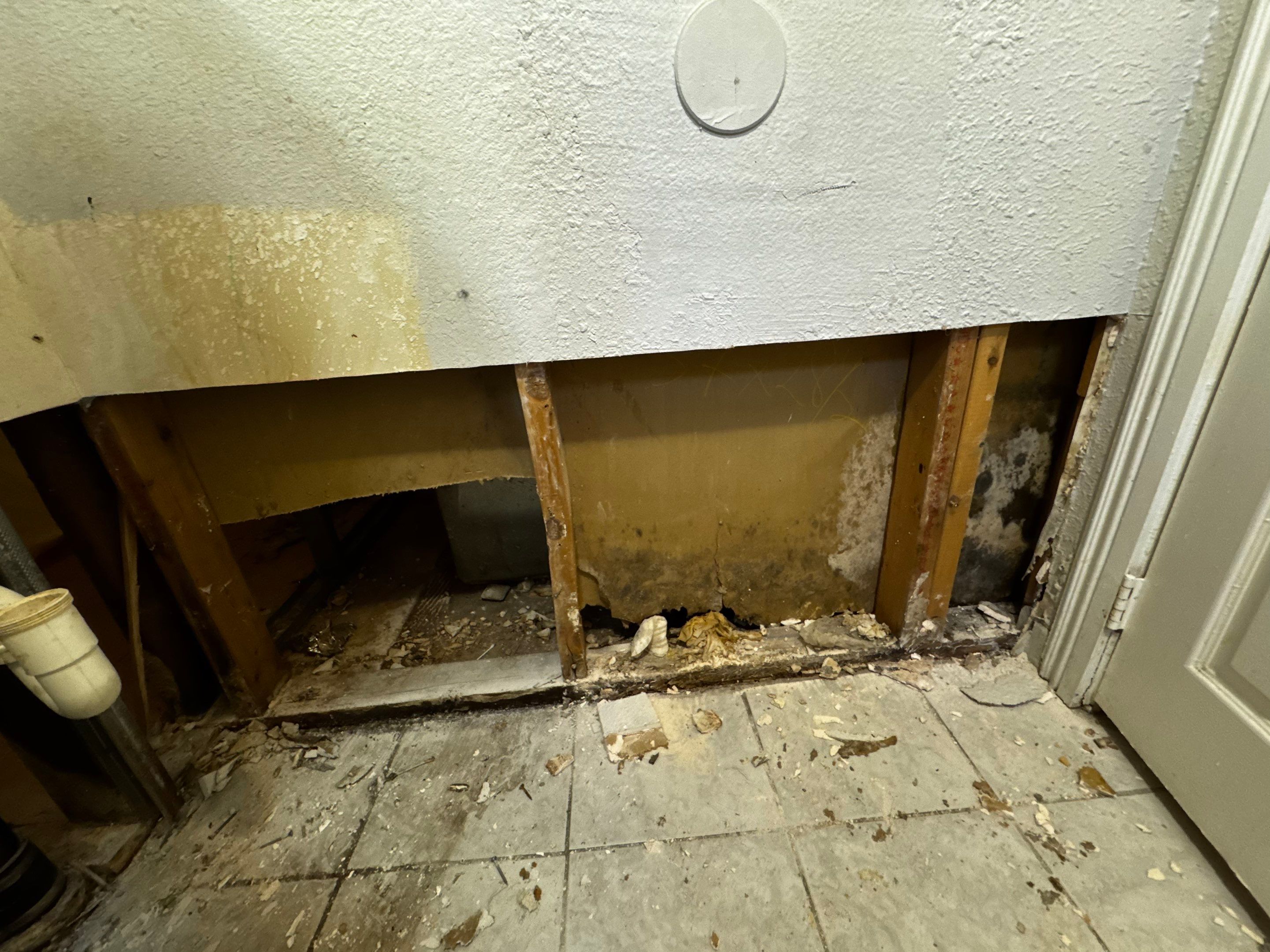 Mold Damage Project in Denver by Accountable Home Services