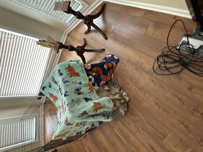 Project in Brighton