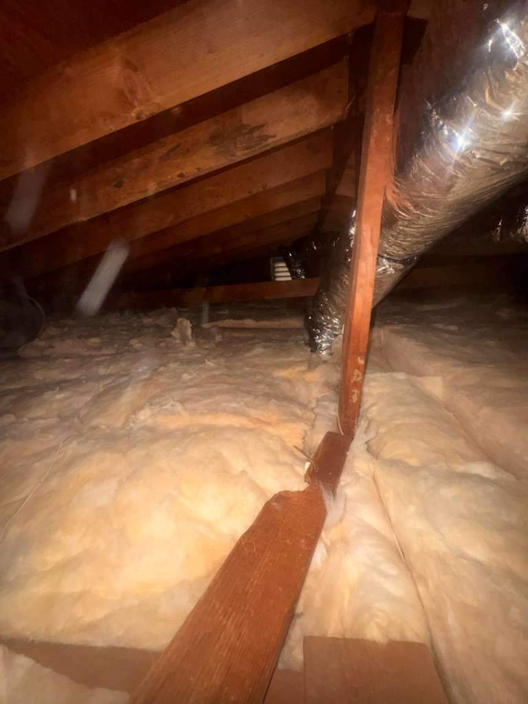 Project by Advanced Attic Solutions by Advanced Attic Solutions