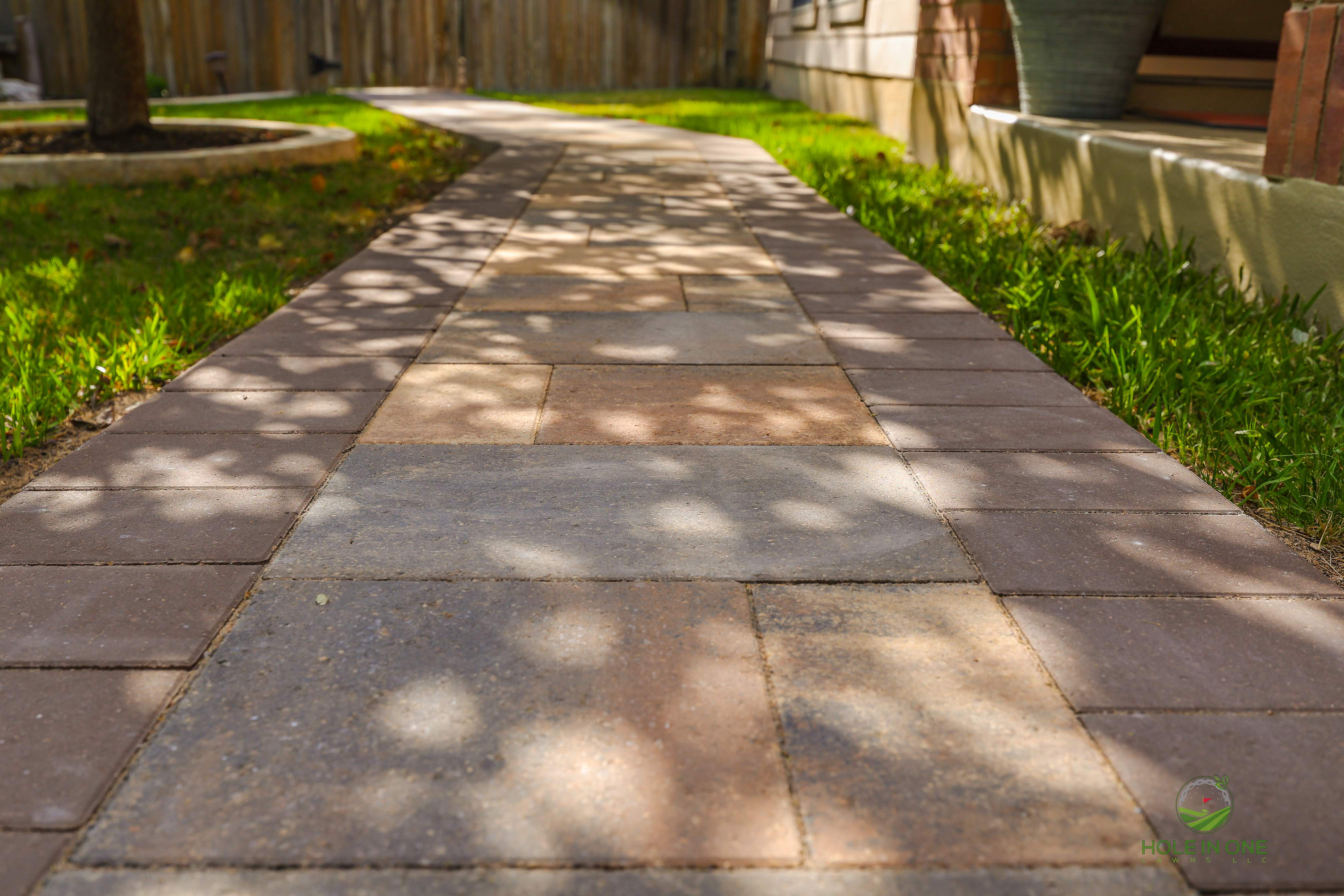 Wortham Oak, San Antonio TX by Hole In One Lawns, LLC
