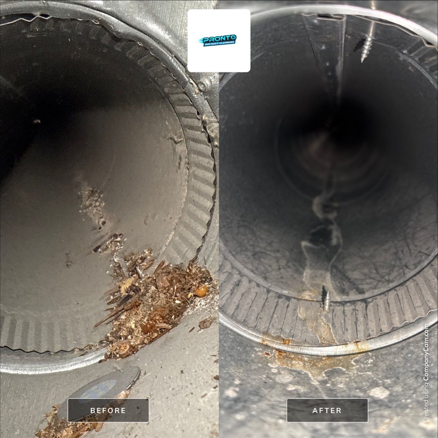Air Duct Cleaning Haymarket, VA by Pronto Air Duct Cleaning