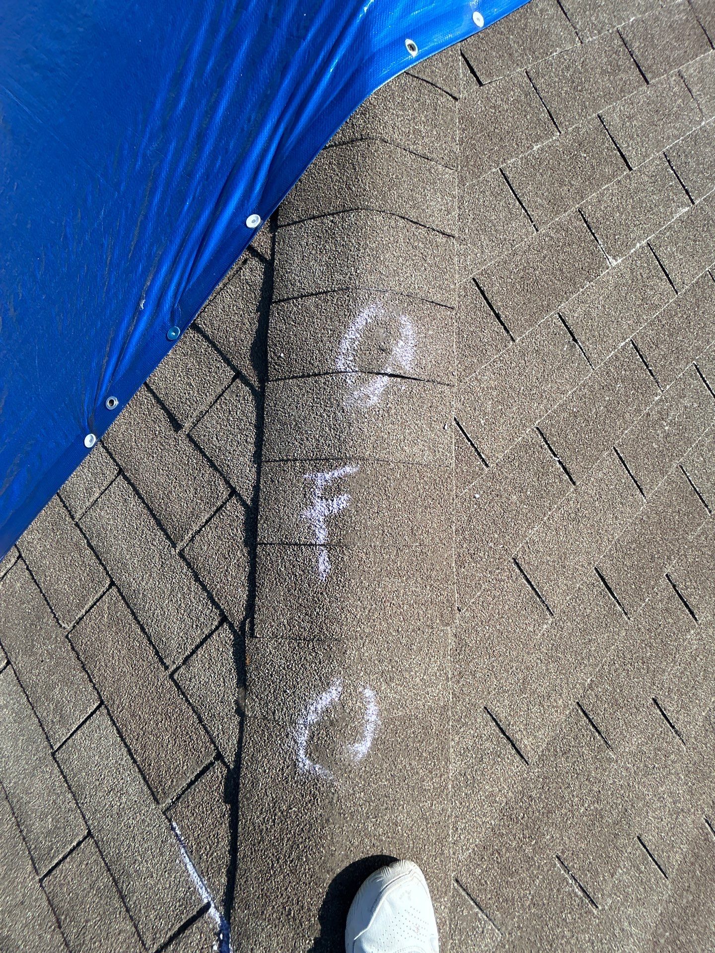 Miss Bridgette by REPS Austin Area Roofer
