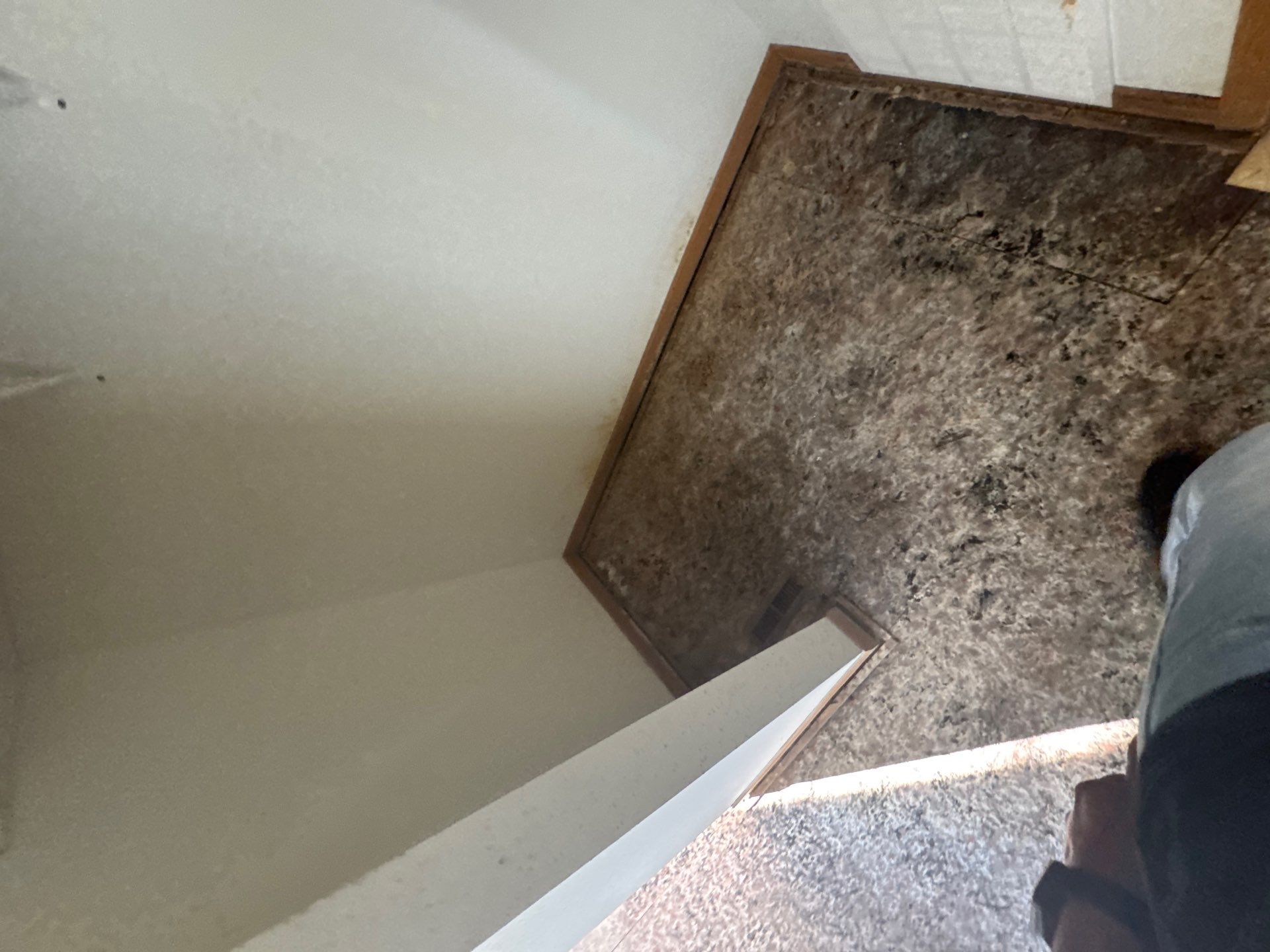 Project in Richmond by EzDry Water Mitigation & Property Restoration