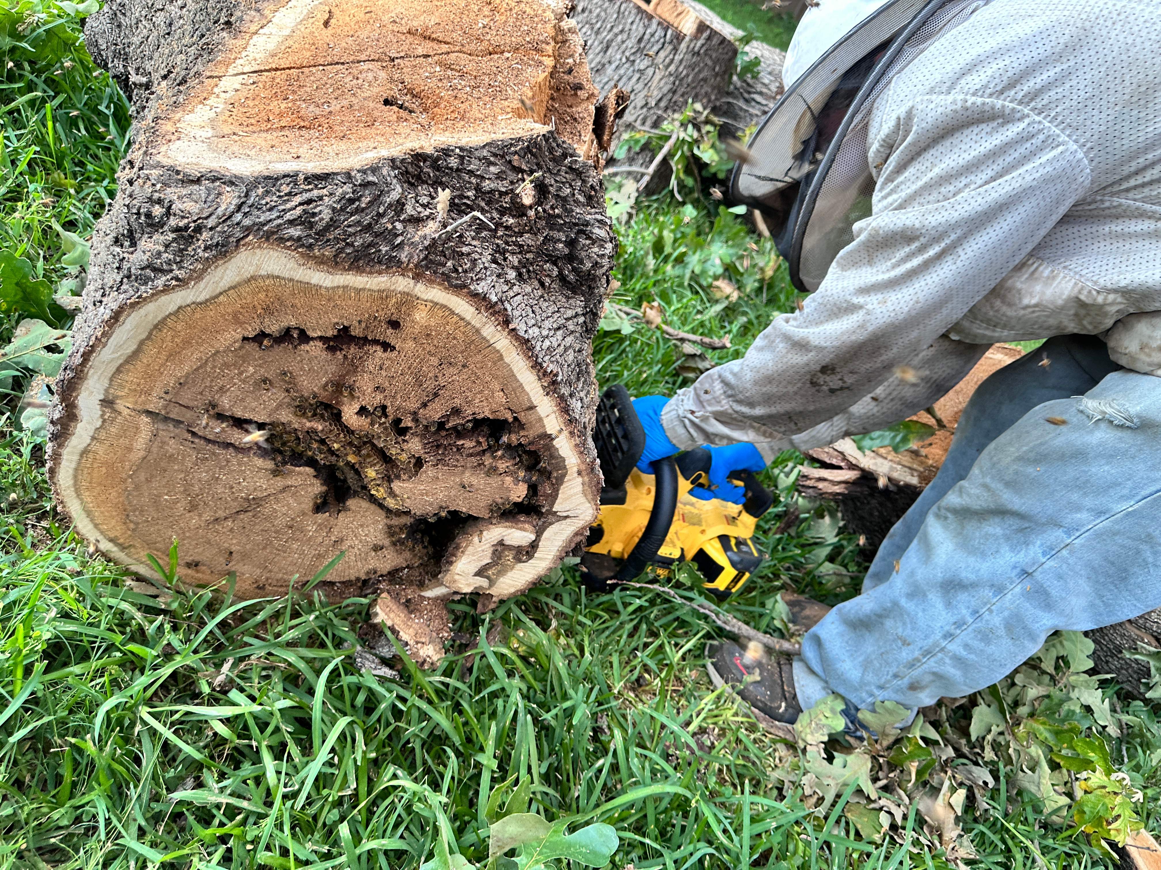 Wina-tree-go by Rockwall Honey Bee Company