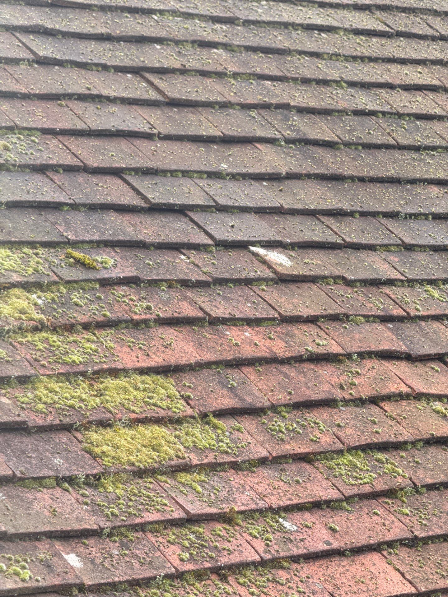 Roof Clean  - Moss Removal - Gutter Clean using Honda 15lpm Low Pressure Washing Machine by Ges Exterior Cleaning ltd