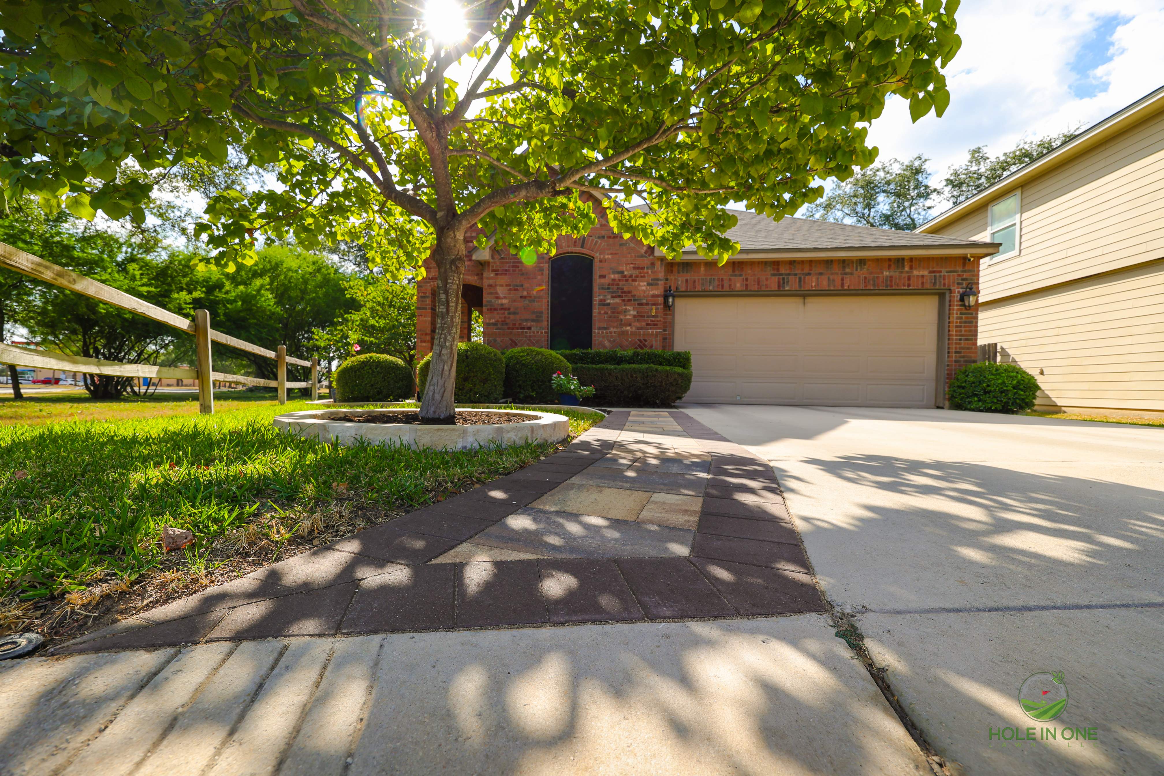 Wortham Oak, San Antonio TX by Hole In One Lawns, LLC