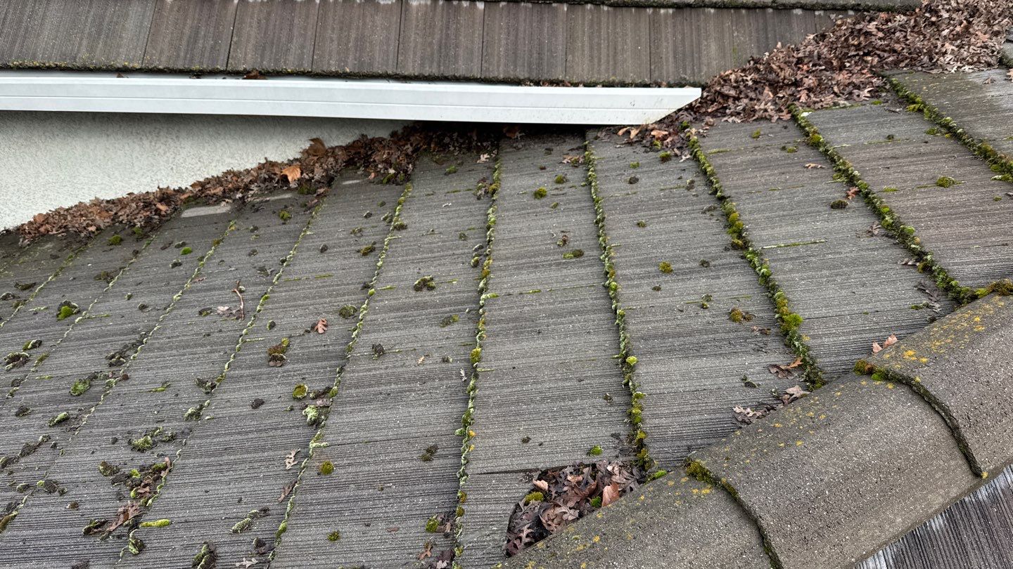 Project by NuLead Construction Inc by NuLead Construction Inc