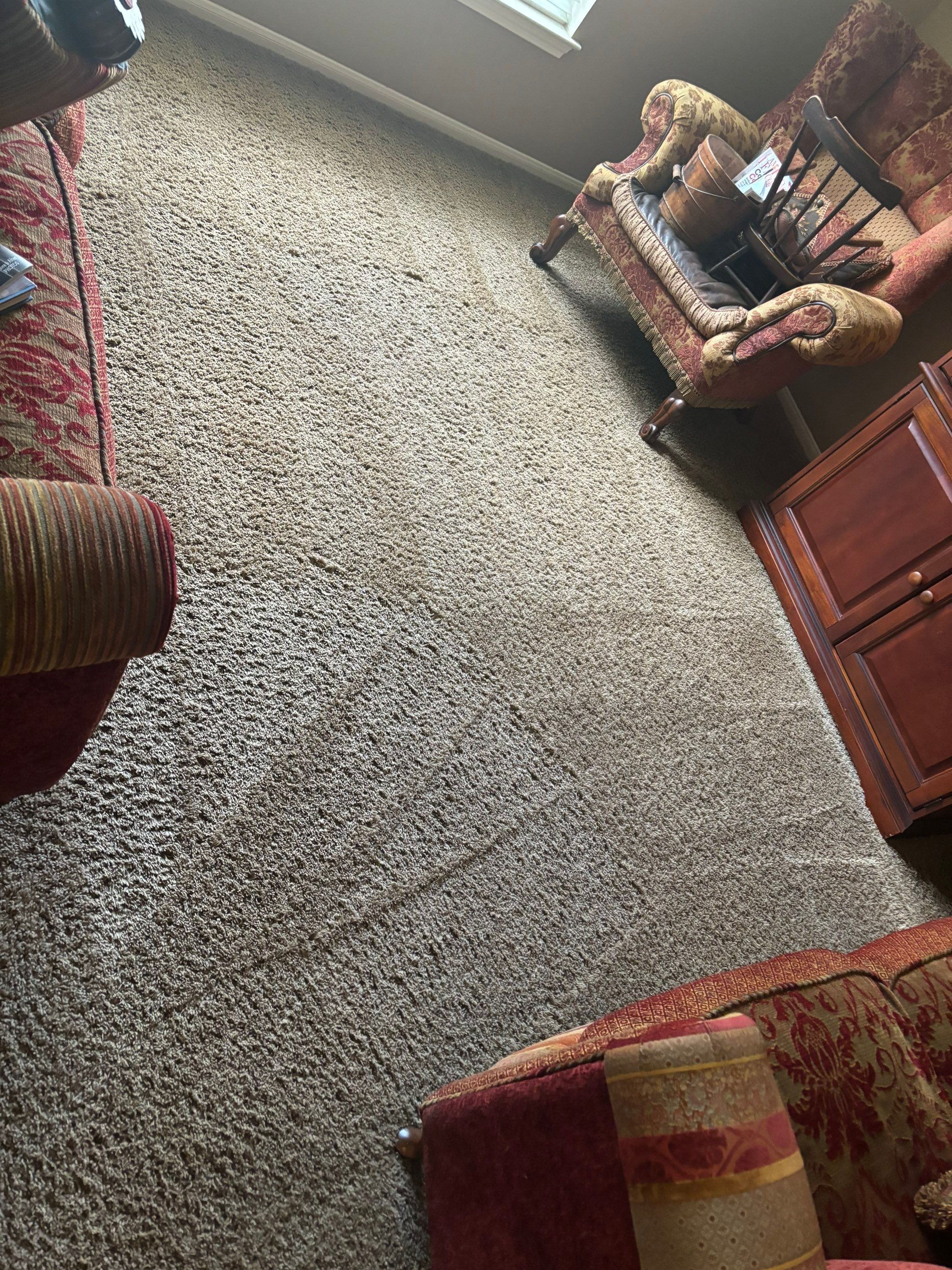 the service being done is professional carpet cleaning to remove dirt and stains from the living room carpet