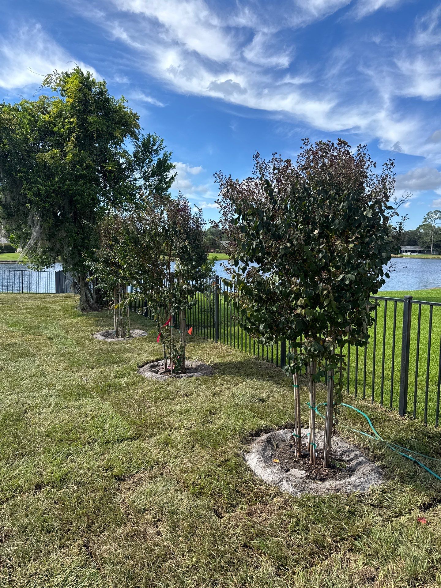 Sod & Landscape Install | Deerwood Community by ProGreen Services
