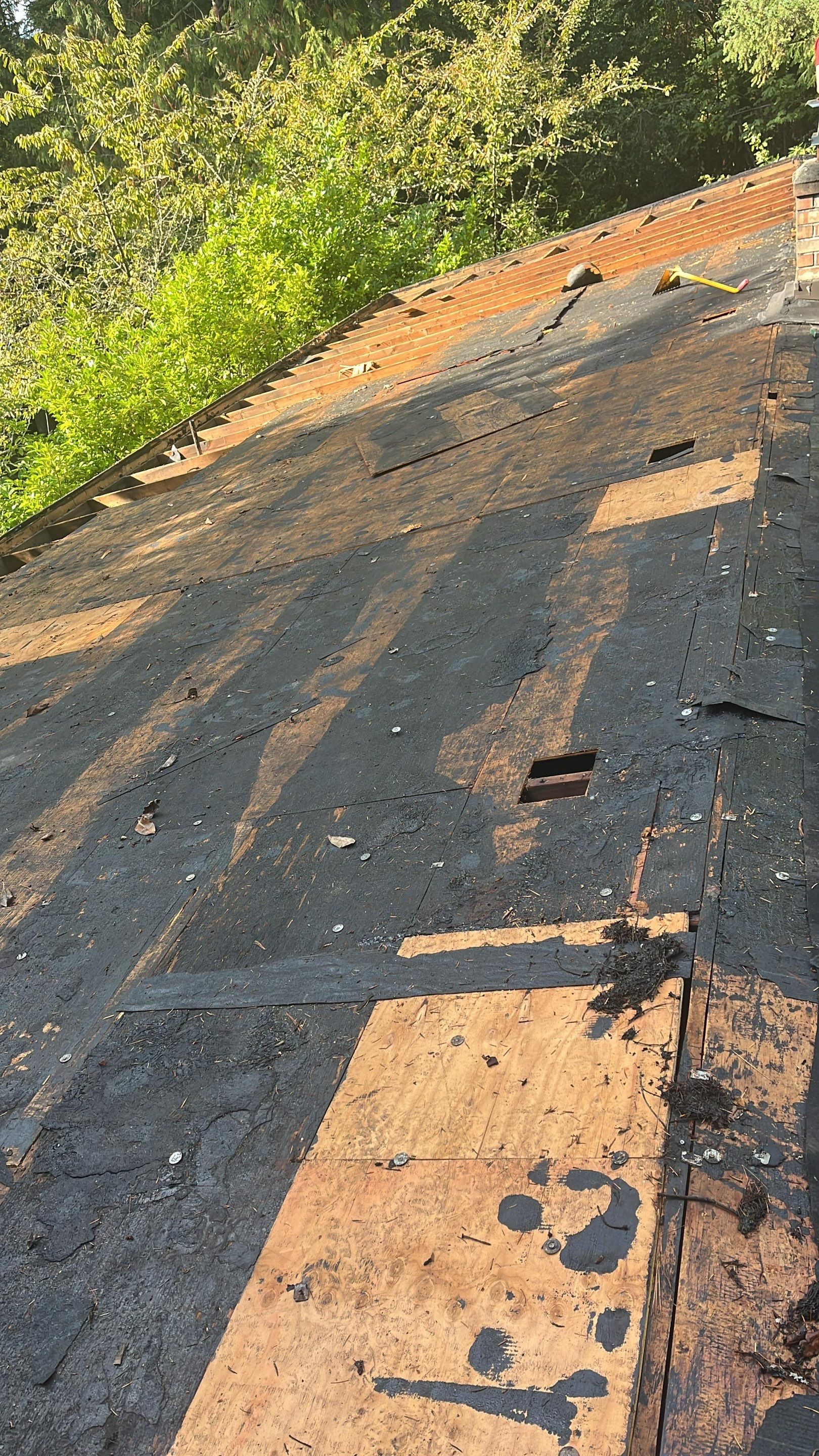 Seattle WA, GAF Everguard TPO  by Proline Roofing & Restoration LLC