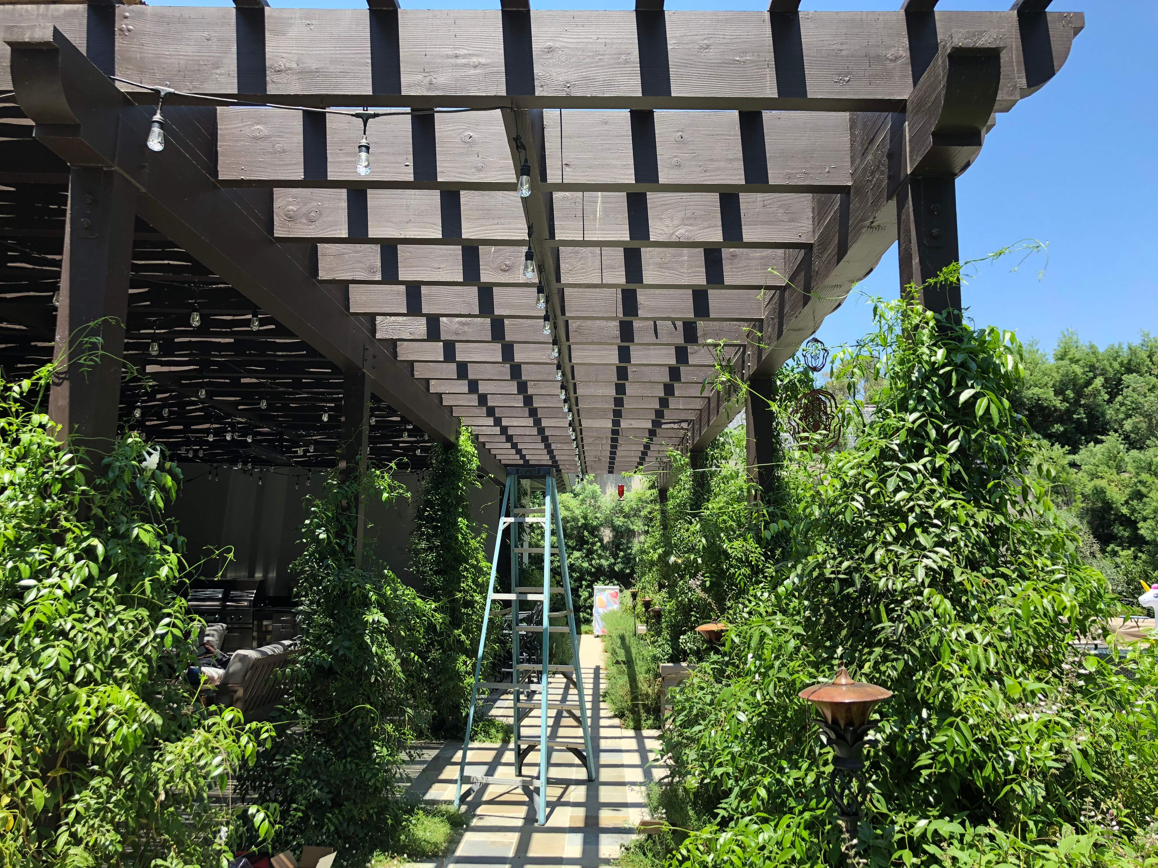 Toluca Lake Outdoor Entertainment + Landscape Lighting by Outdoor Lights + Shades