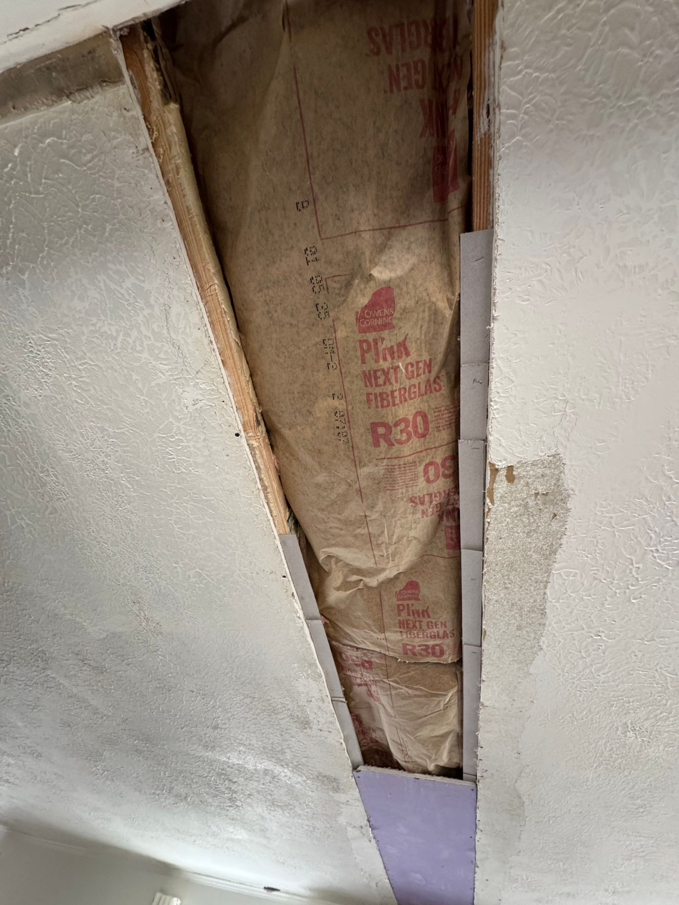Ceiling Mold Removal by Home Disaster Medics