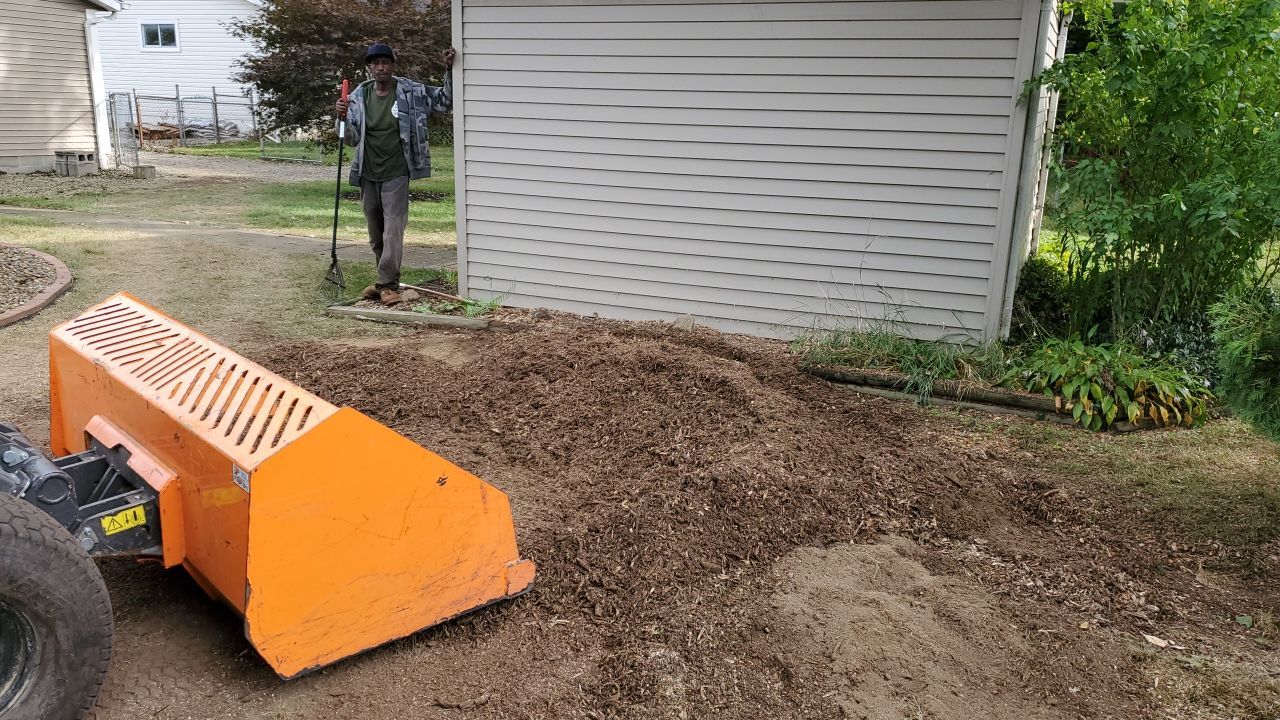 Oak Tree Removal by Mike Jones & Sons Tree Service LLC 