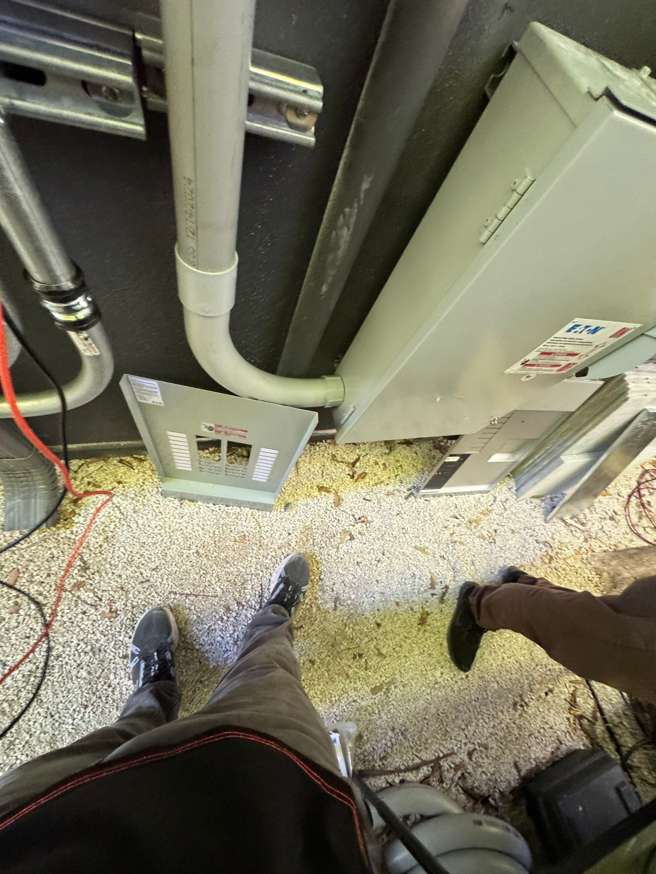 Project in  Miami by Payoli Solar