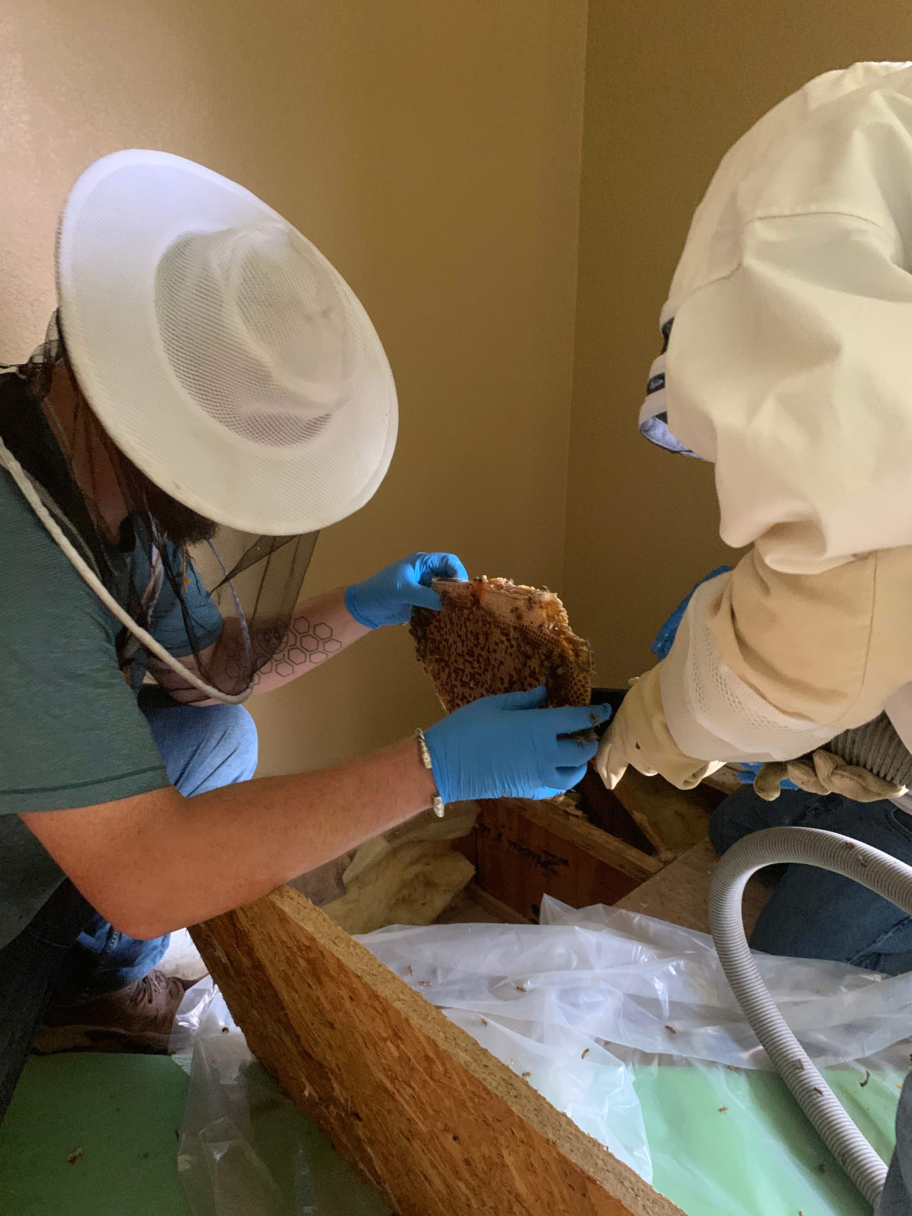 Beekeepers-to-be by Rockwall Honey Bee Company
