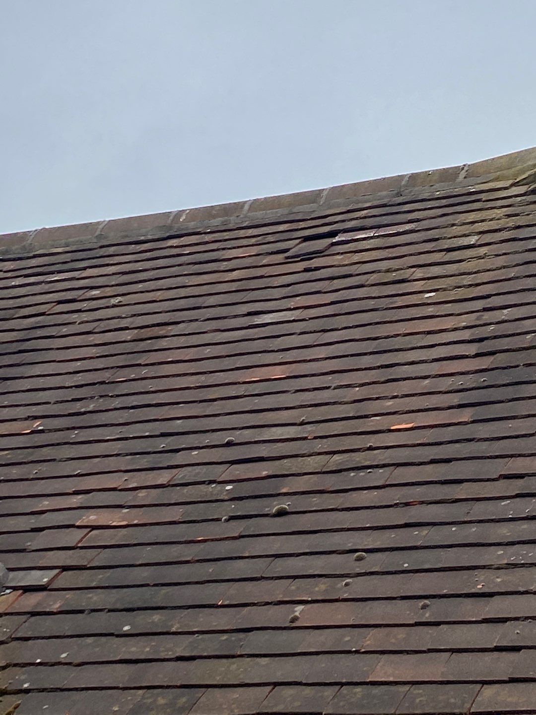 Roof Cleanin and tile repacement using Honda 15lpm Low Pressure Washing Machine by Ges Exterior Cleaning ltd