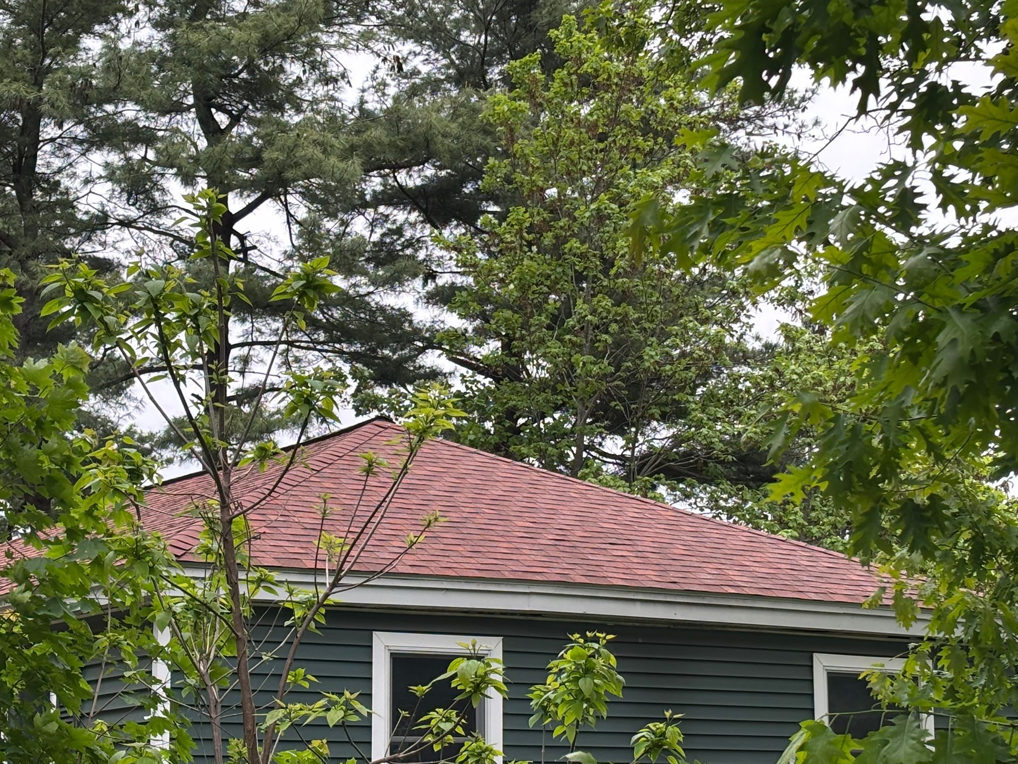 Roofing | Clinton by Mighty Dog Roofing of Greater Middlesex County