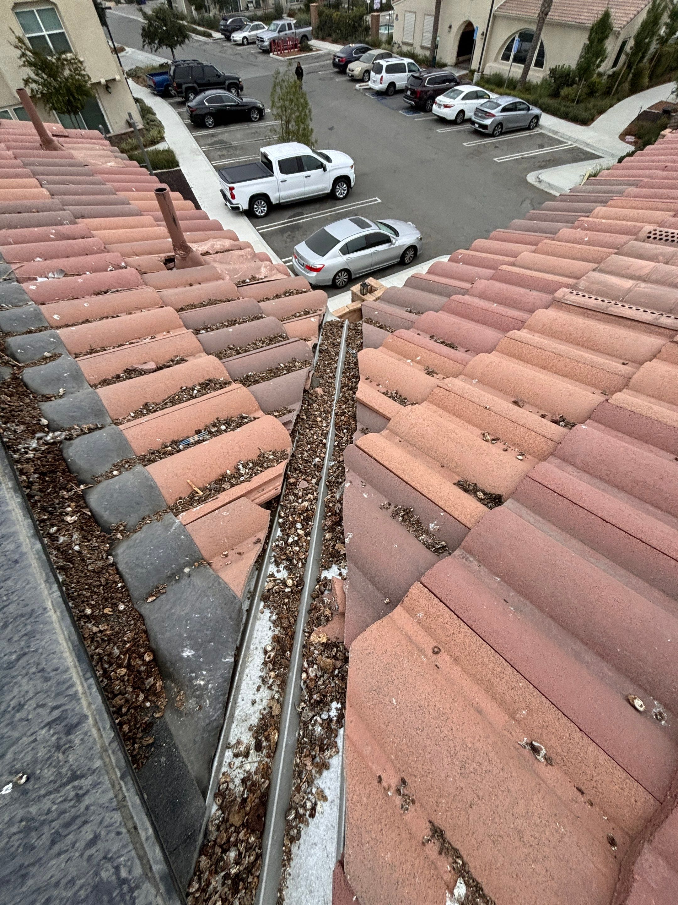 Solar Panel Bird Proofing in Fontana Ca by Palm Coast Solar Cleaning