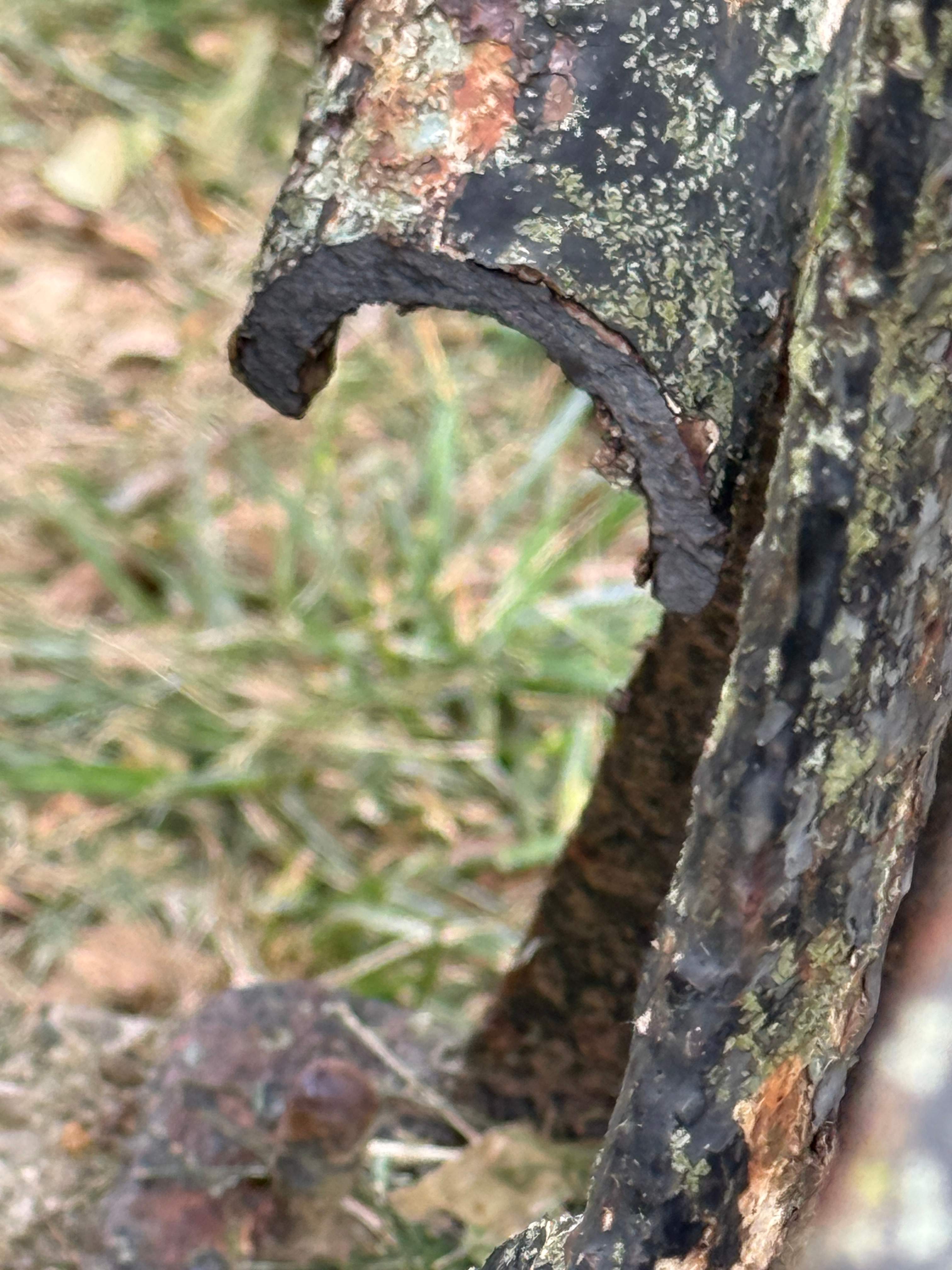 Custom Ornamental Bell Restoration & Structural Welding – Vargo Residence – Rockville, MD by Capitol Iron Works