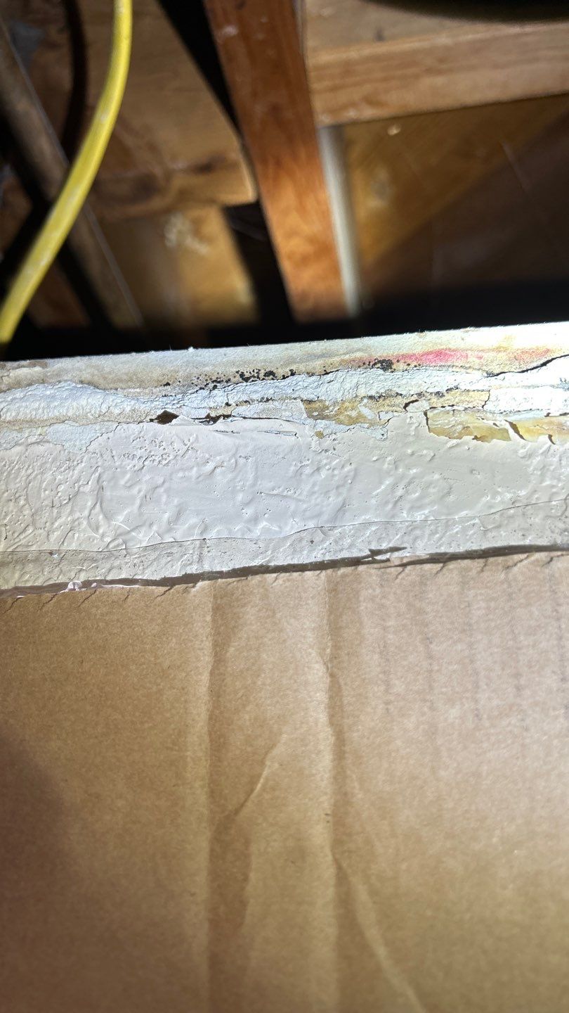Mold Damage Project in Lakewood by Accountable Home Services