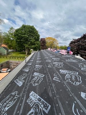 Architectural Shingle Roof Replacement and Siding Update in Lodi
