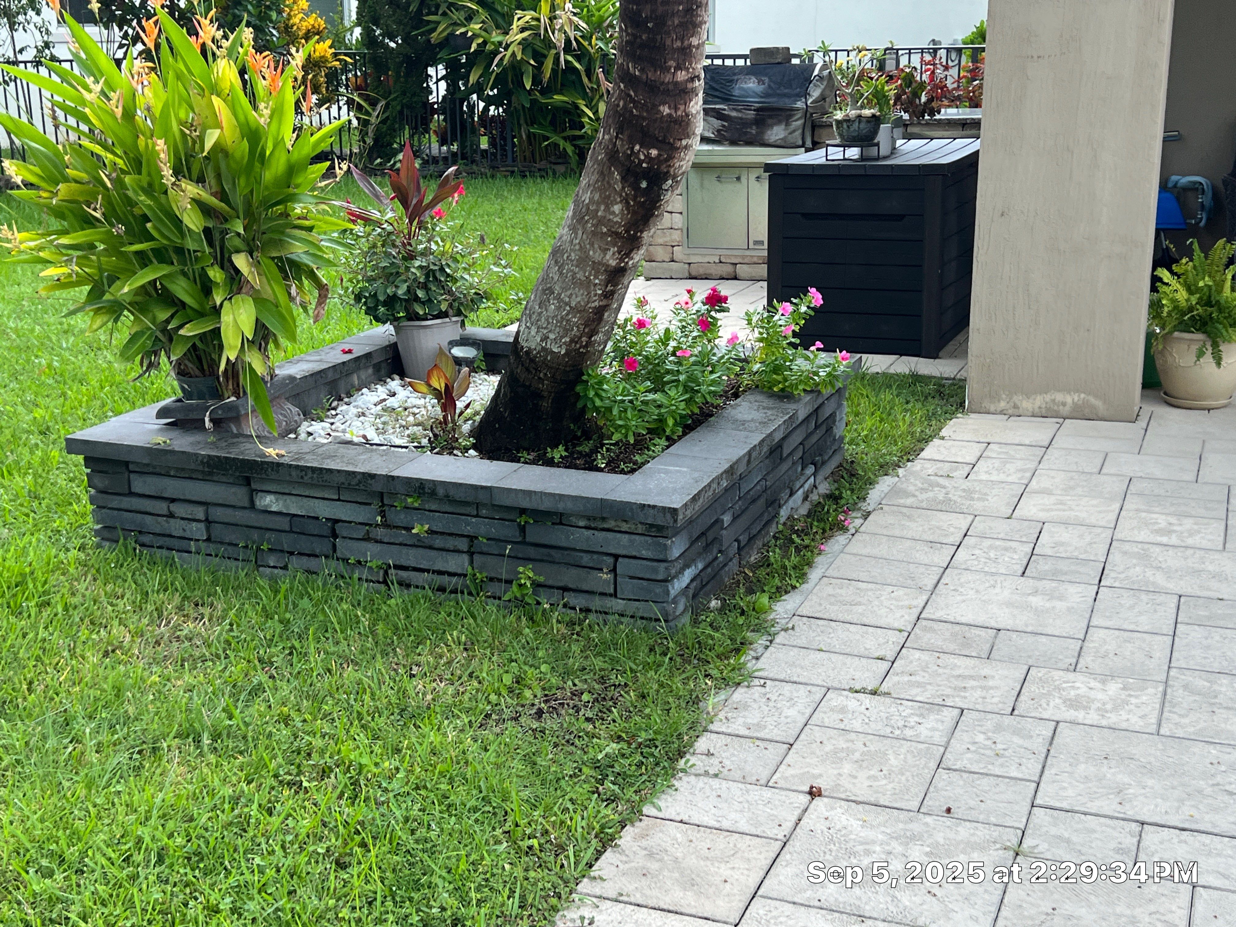 Heron Bay Parkland Painting by BKB Pressure Cleaning LLC