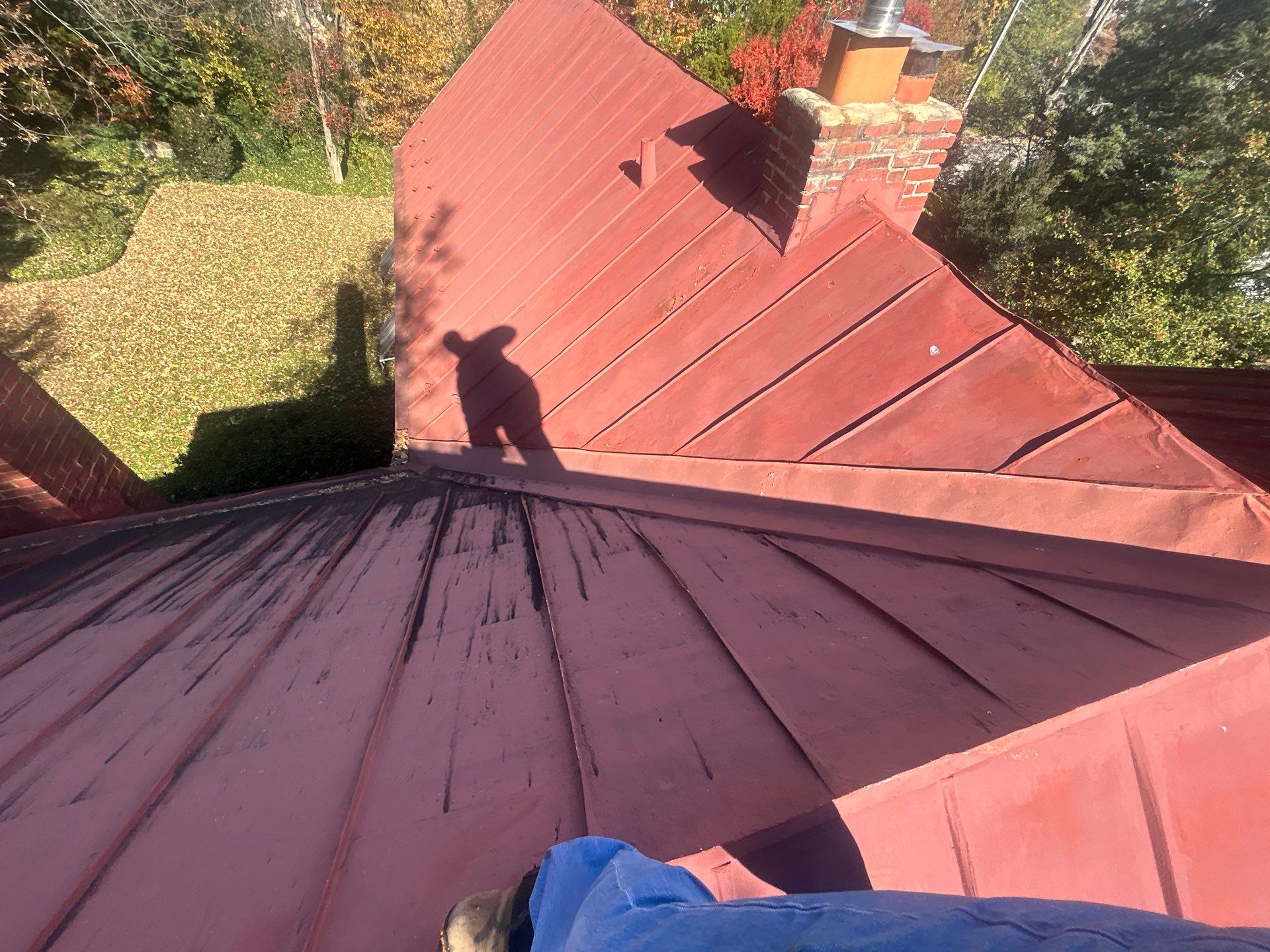 Alexandra: Residential Metal Roofing  by RM Banning, Inc.