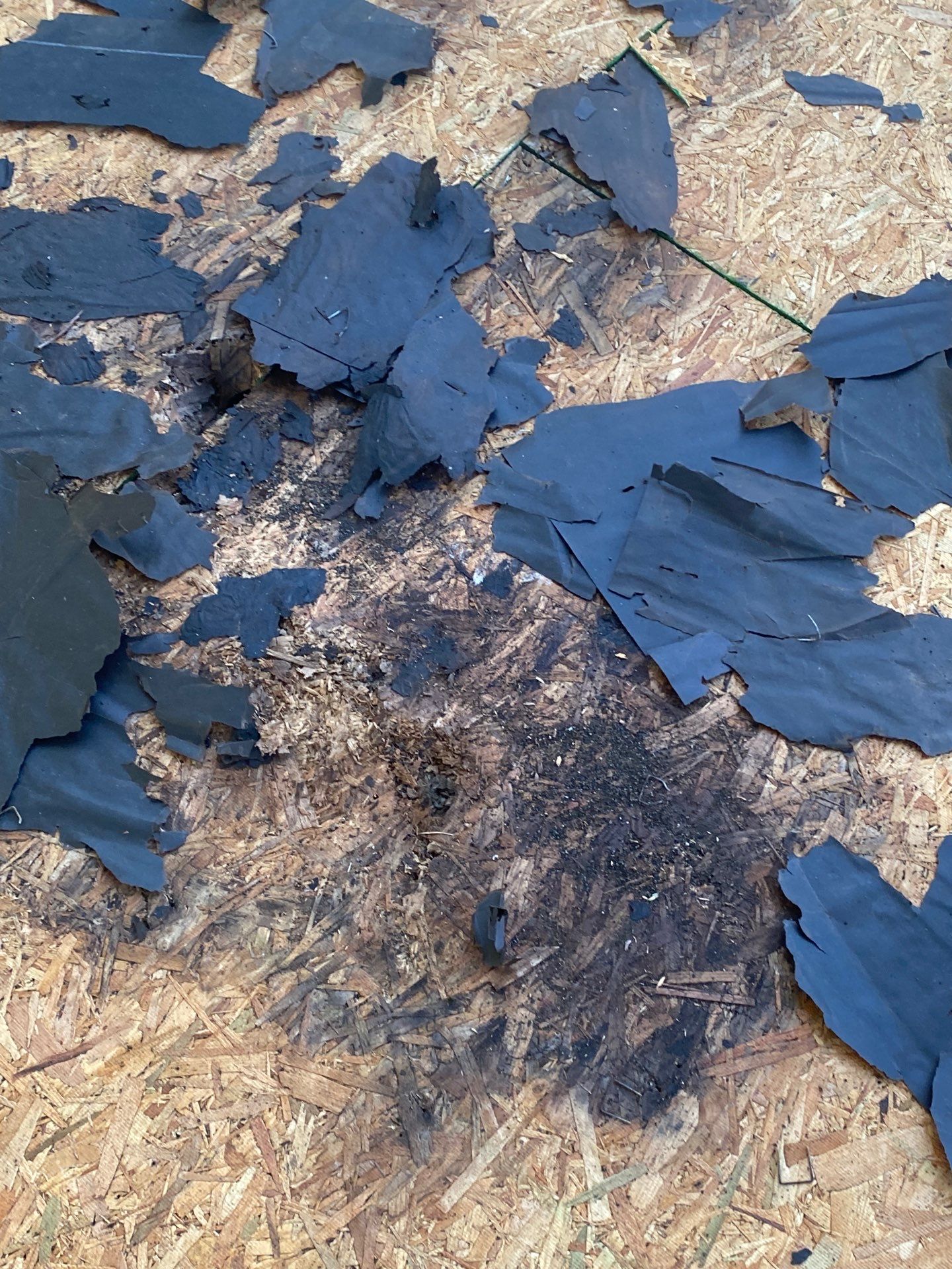 Resetting the Standard by 1st Gen Roofing & Restoration LLC