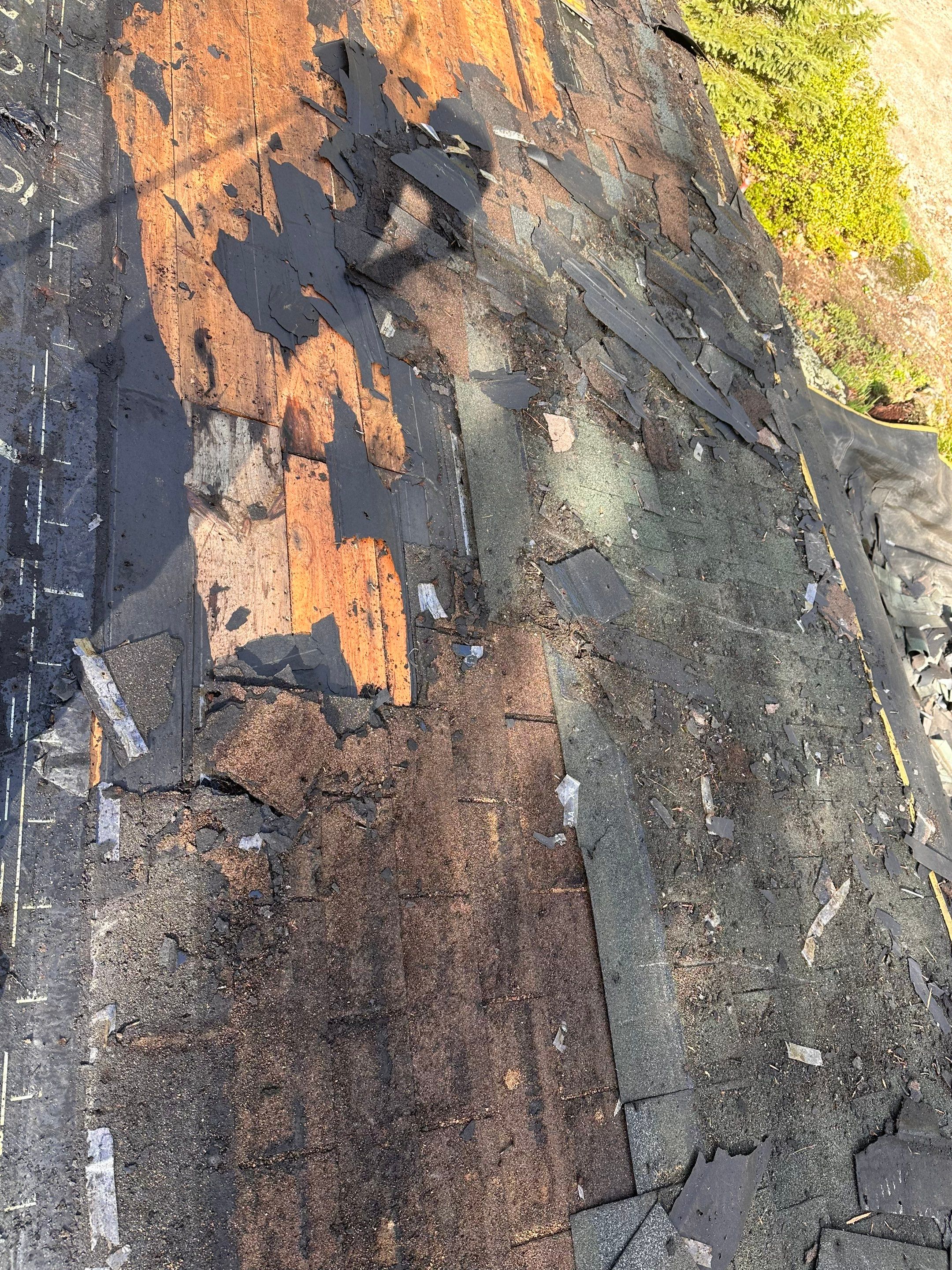 Green Architectural Asphalt Shingle Roof Replacement in Epsom by Tall pine roofing