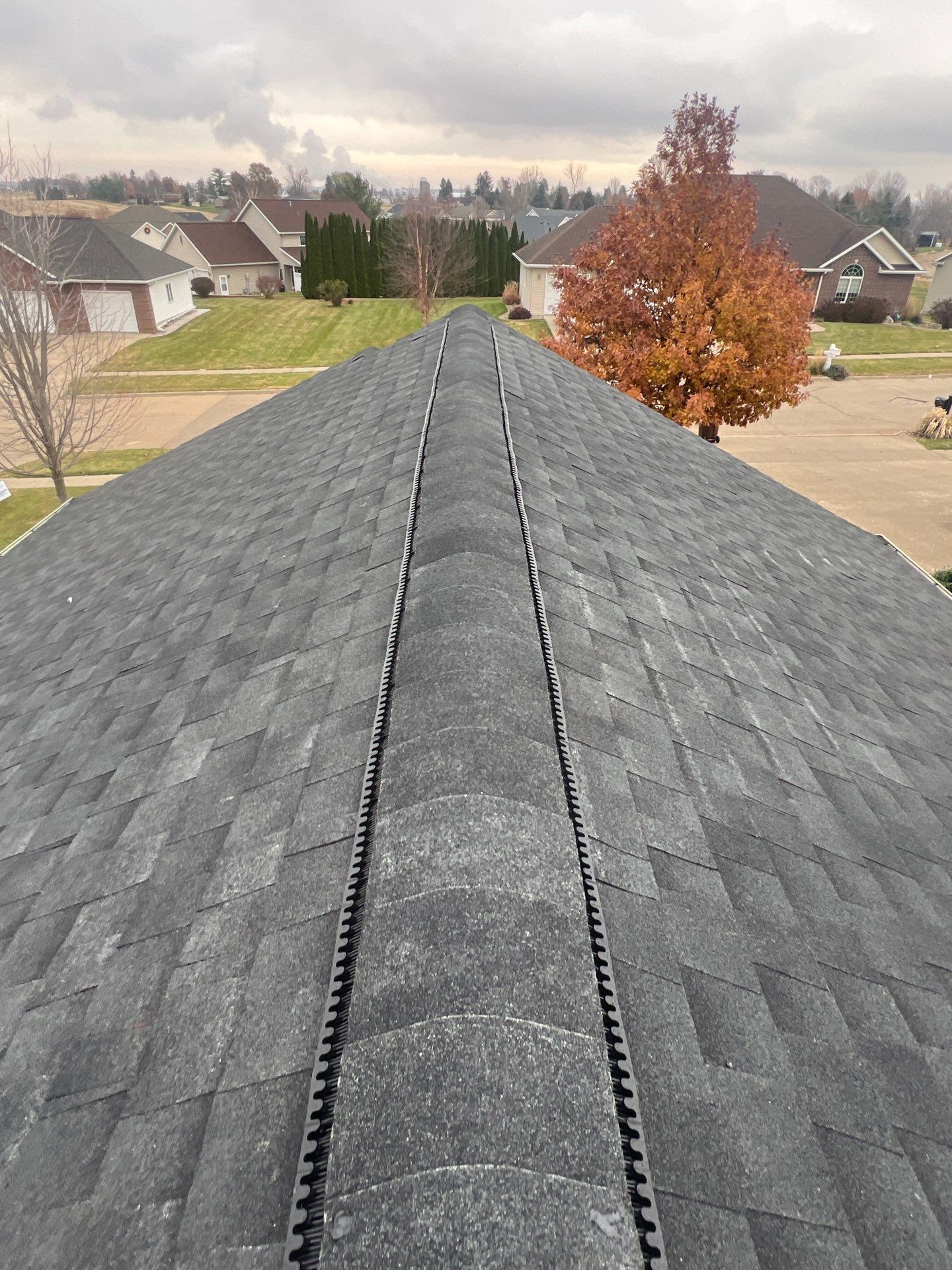 GAF HDZ  by Waddle Exteriors