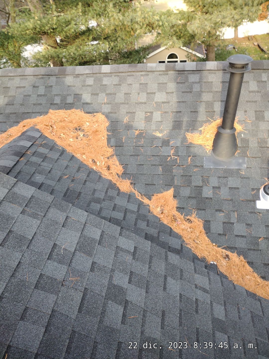 Comprehensive Gutter Cleaning and Debris Removal in Summit by NJ Home Maintenance Services