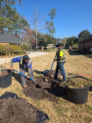 Deerwood Resident | Tree Service