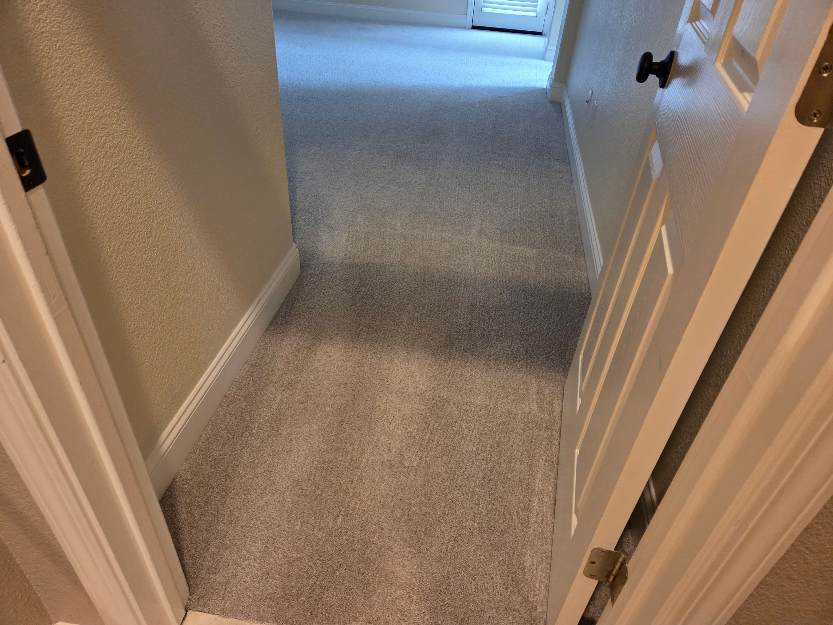 Carmichael Carpet Re-stretching and Cleaning by Ardent Carpet Restore LLC