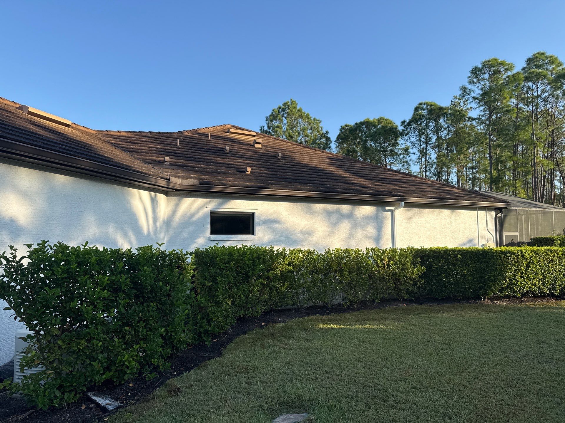 Flat Tile Roof, Paver Pool Deck & Driveway Cleaning | Cove at Twin Rivers, Parrish FL by Sunshine AquaWash