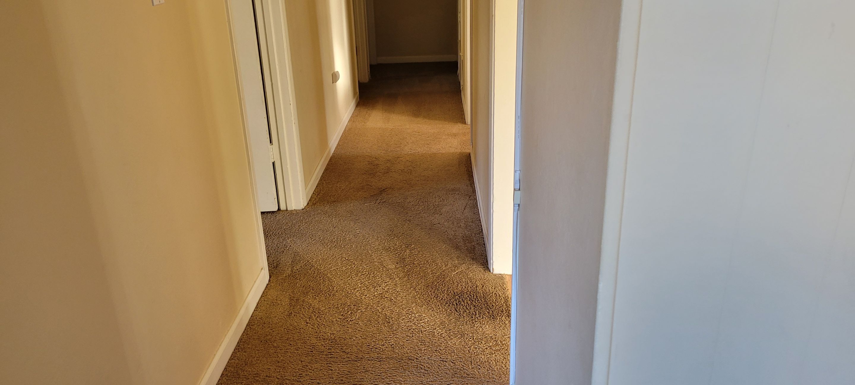 Fixing Carpet Wrinkles in a Hallway by Ardent Carpet Restore LLC