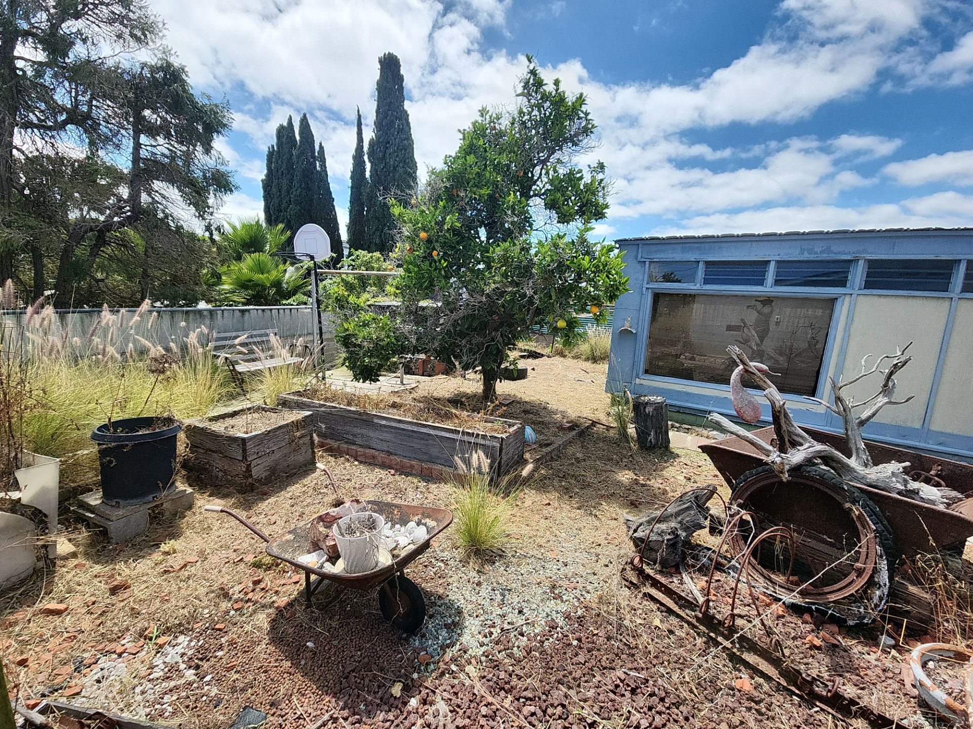 Residential Site Clearing and Landscape Clean Up in San Diego by Yard Techs