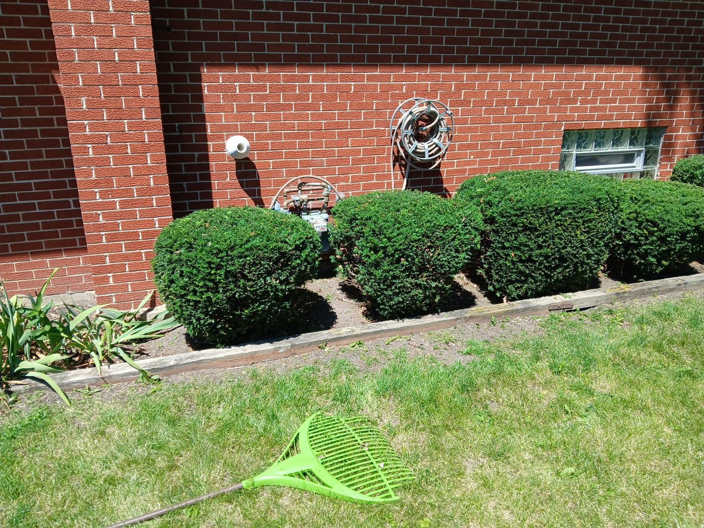 Martha C. - Mount Prospect, IL by A&N 