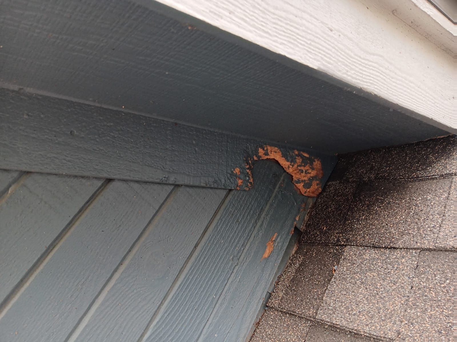 Roof Repair Spring by Roof Repair Company