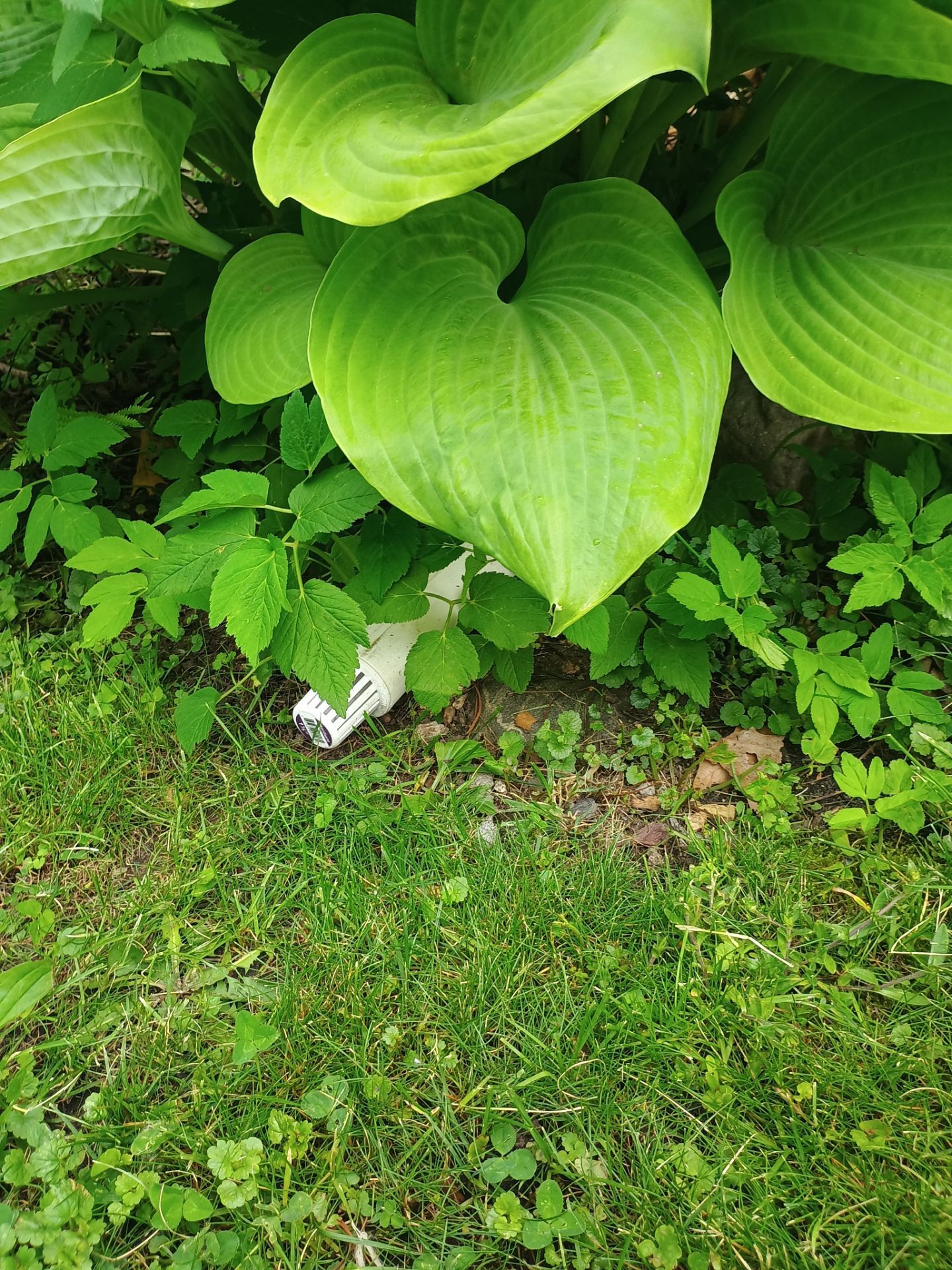 Sump Basin & Discharge Completion in St. Paul, MN by Waterproofing Northeast