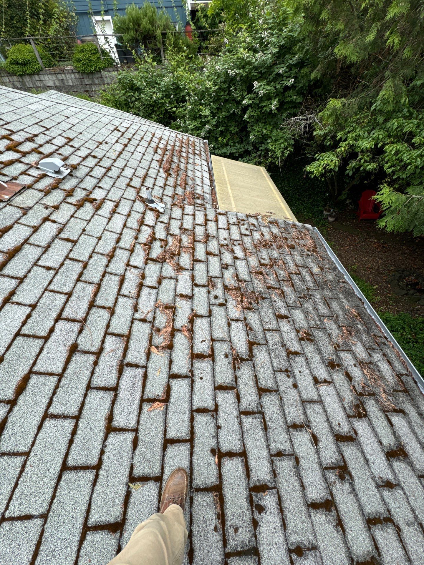 Project in Seattle by Peaks and Valleys Construction