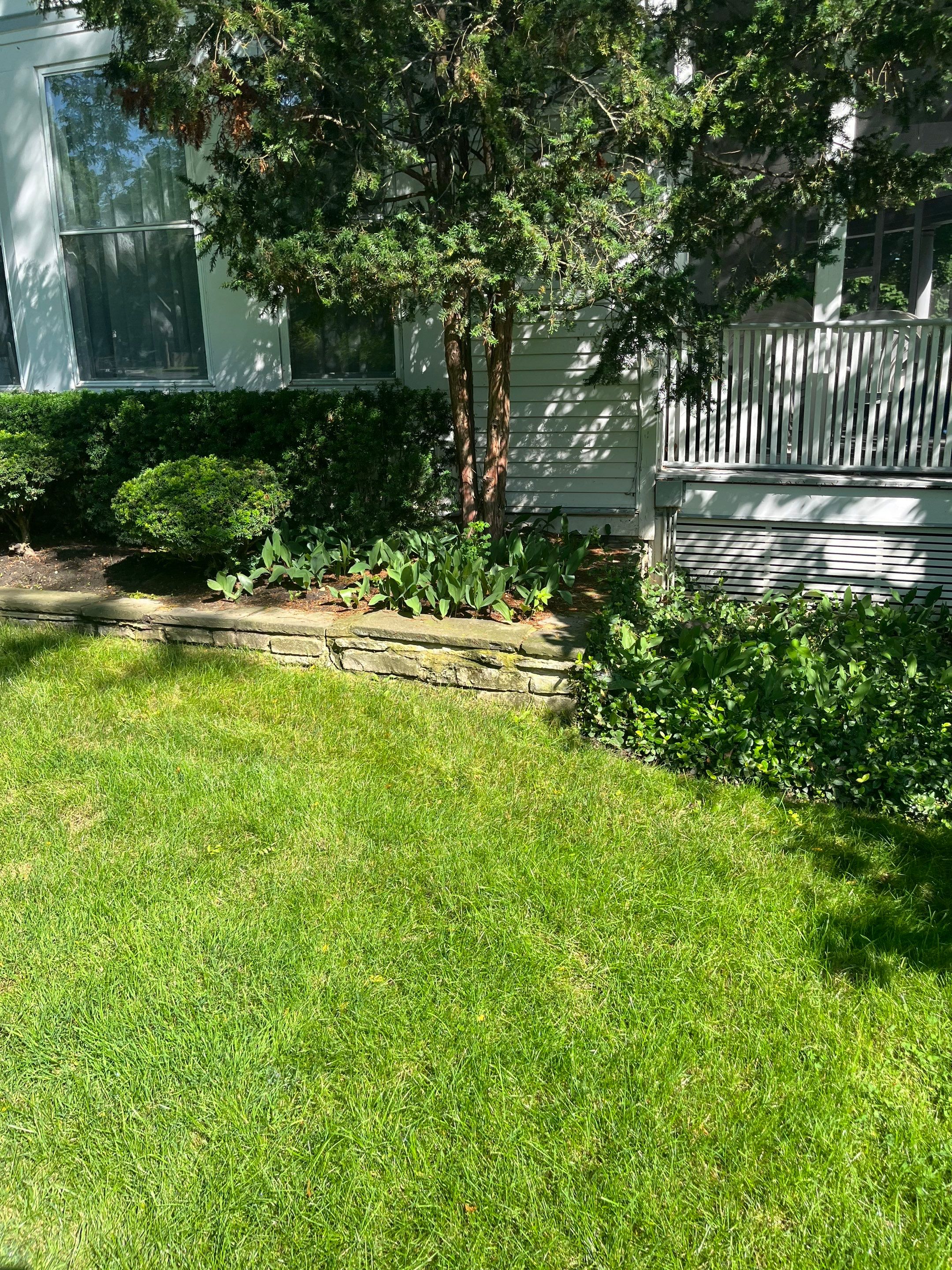 Housewashing  using Algaecide, soft wash soap by Northern Power Washing LLC.