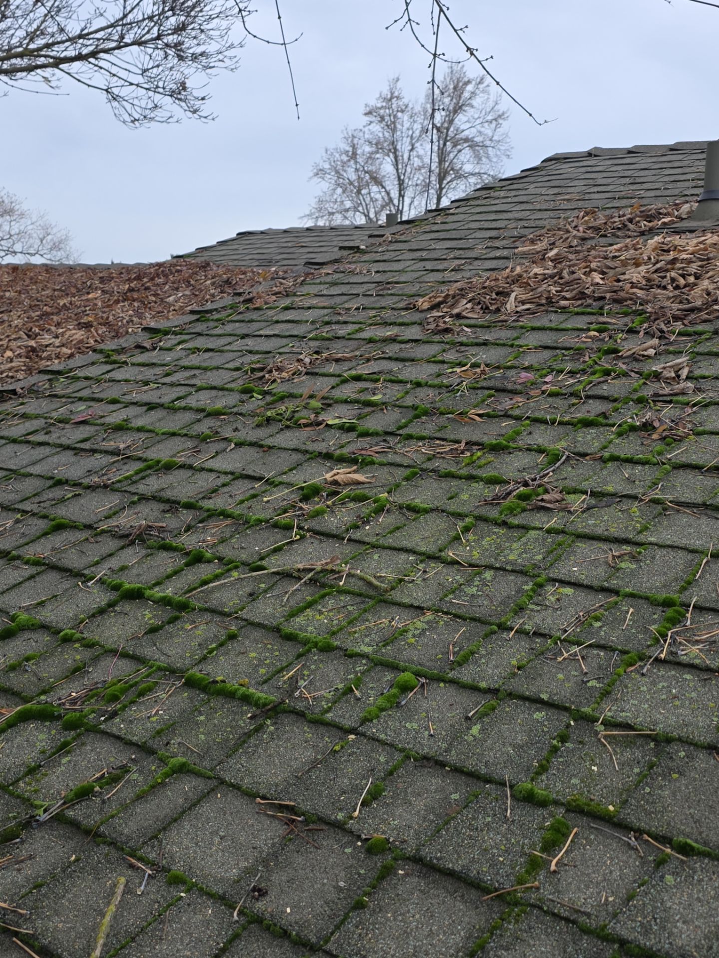 Roof Rejuvenation using Roof Maxx Treatment by Roof Maxx of Folsom