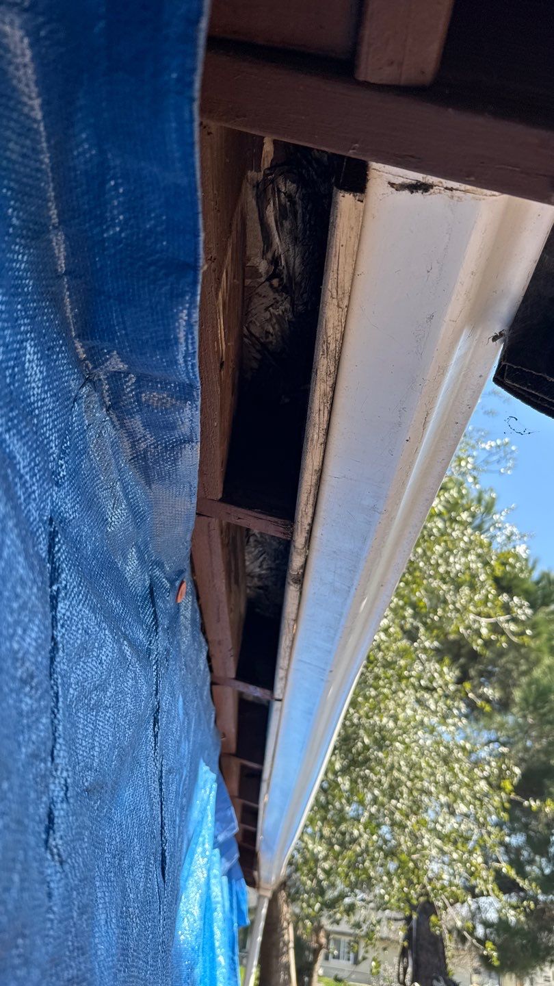 Project by NuLead Construction Inc by NuLead Construction Inc